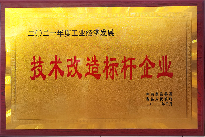 2021技術(shù)改造標桿企業(yè)-1.jpg